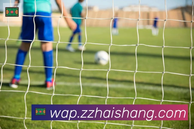 开云app在线入口服务体系