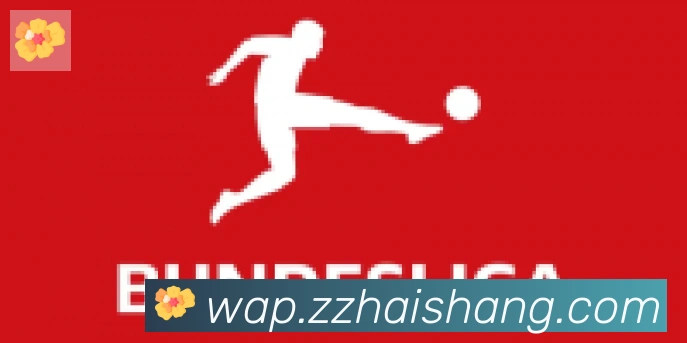 开云app在线入口合作伙伴