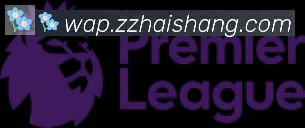 开云app在线入口合作伙伴