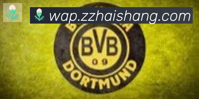 开云app在线入口合作伙伴